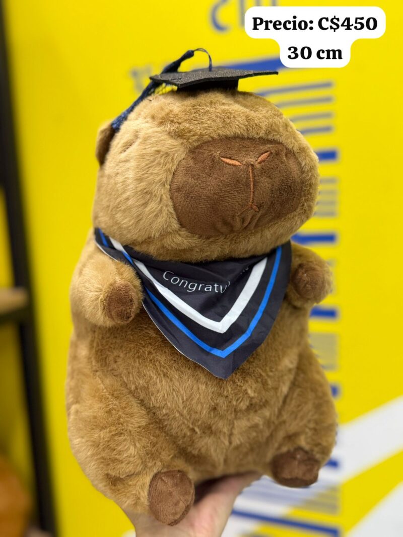 Peluche de Capibara - K45